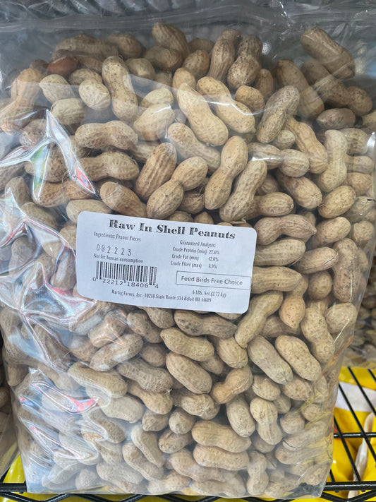 Peanuts in shell 6 lb bag