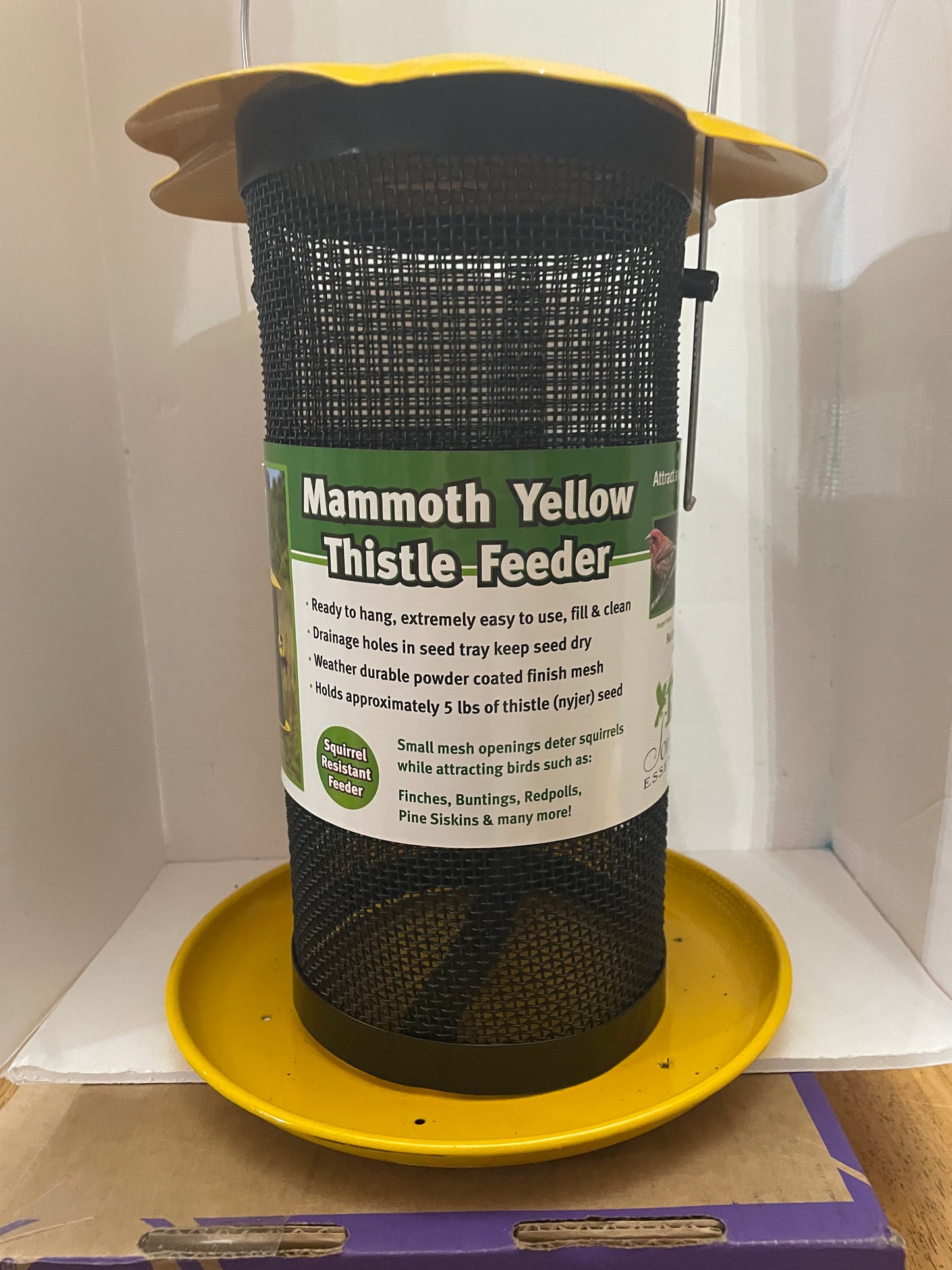 Mammoth Yellow Thistle Feeder